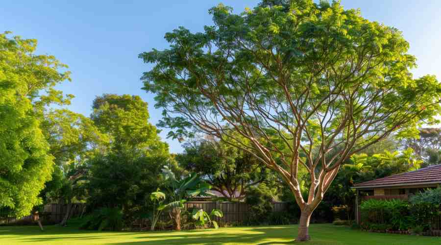 Reasons Why Removing A Tree Is Beneficial